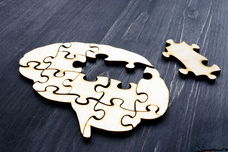 brain from wooden puzzles